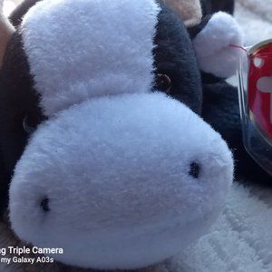 Beanie baby original